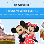 Photos de Disneyland Paris sur fond bleu avec titre de l'article