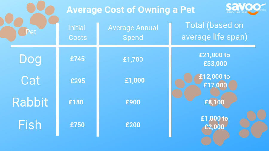How much does it really cost to own a pet? Savoo Blog