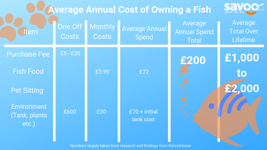 How much does it really cost to own a pet? Savoo Blog