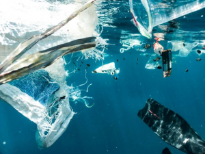 Plastic waste in the ocean surrounded by fish