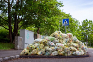 Waste bin bags of food waste